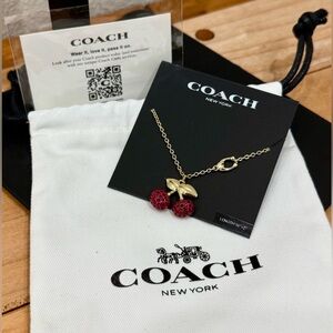 Coach Pavé Cherry Pendant Necklace